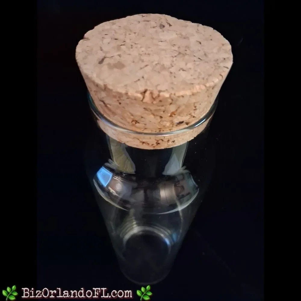VINTAGE: Clear Tall Glass Cylinder Bottle Terrarium With Cork Stopper